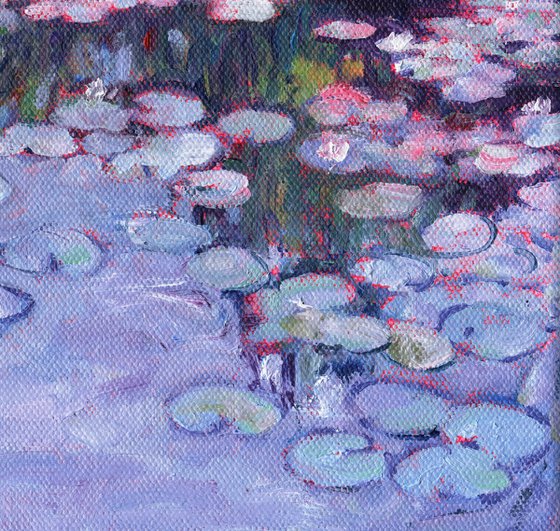 Summer Waterlilies