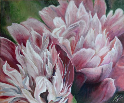 Petals of pink peonies by Katia Boitsova