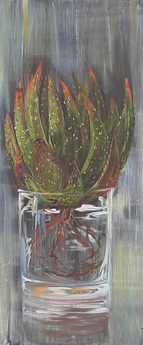 The Glass Aloe by Tamara Vieira