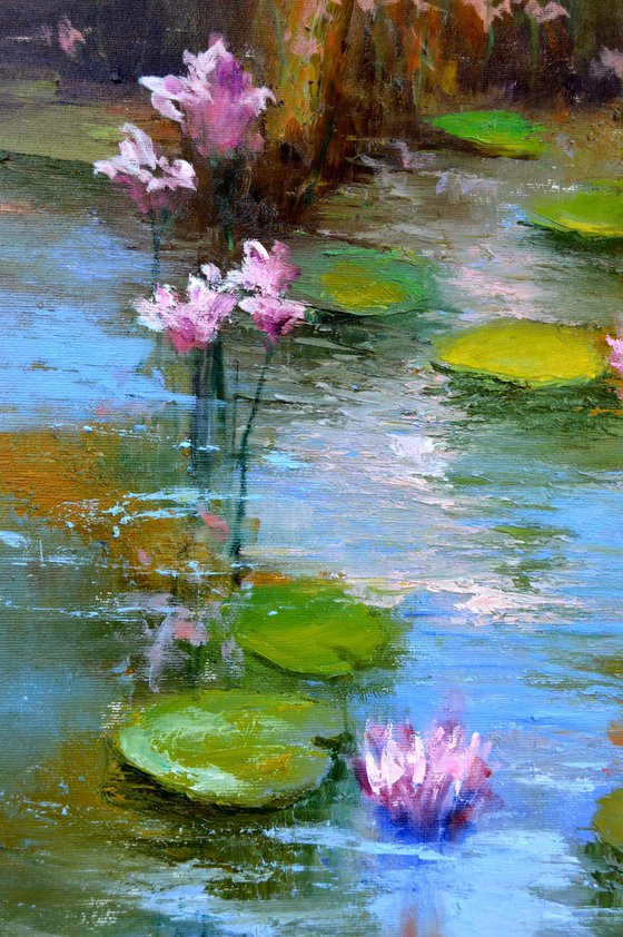 Pond with pink lilies