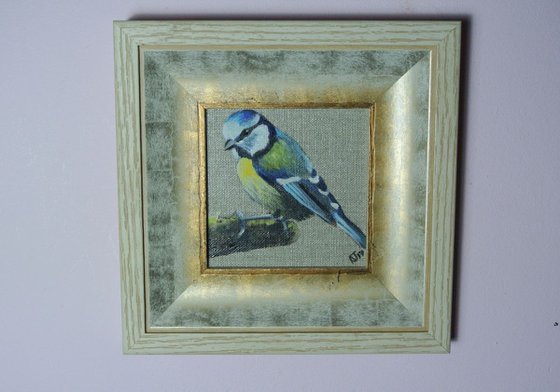 Blue tit Miniature painting, Bird Artwork, Framed and Ready to Hang