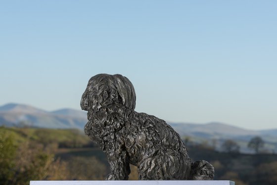 Maltese Terrier Bronze Resin
