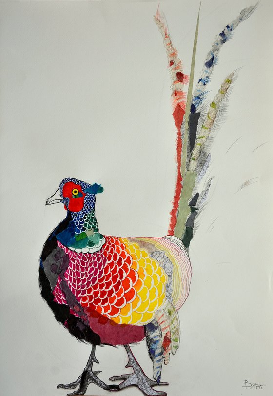 Pheasant