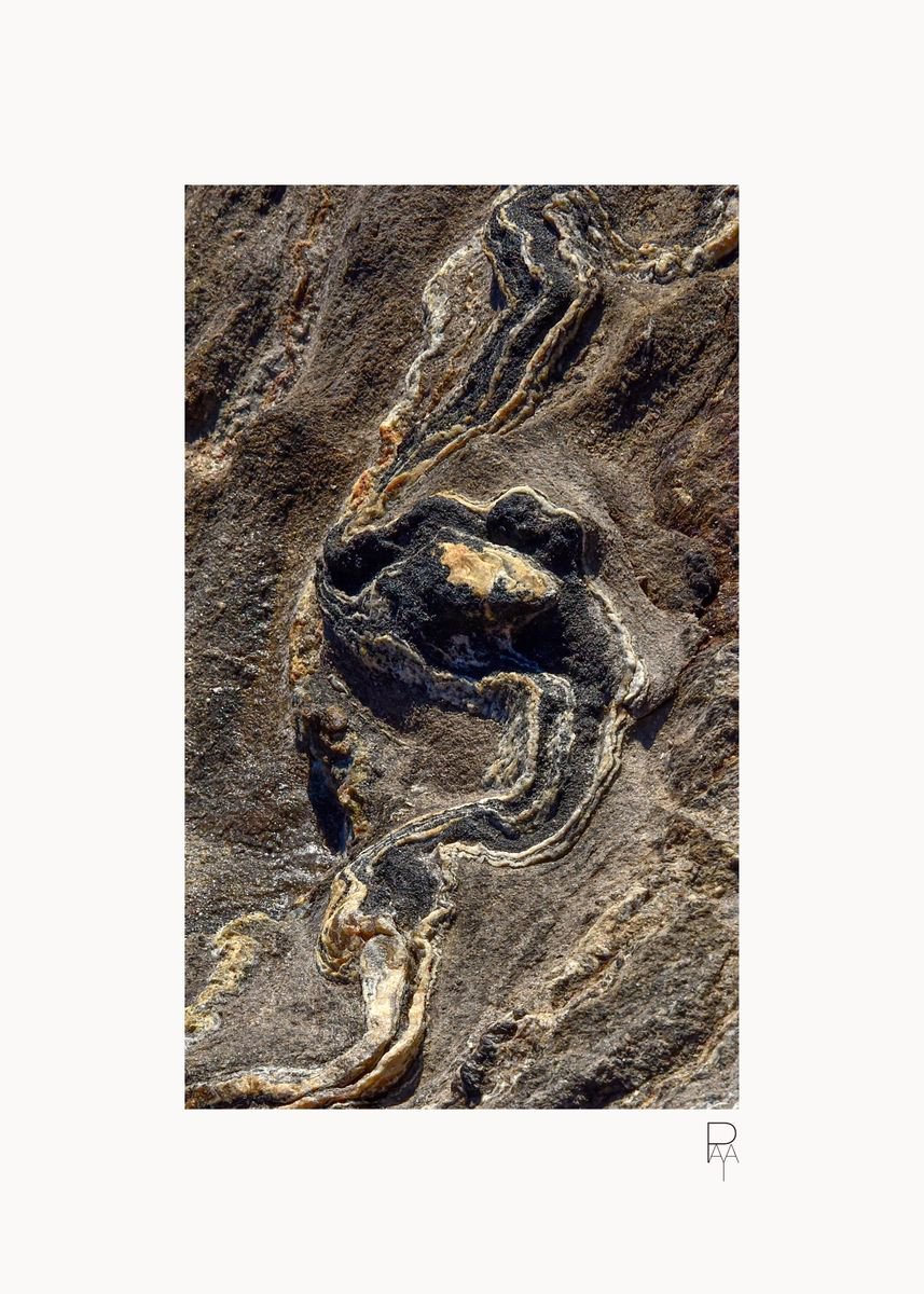 Serpent mineral 2 by Raphael Paya