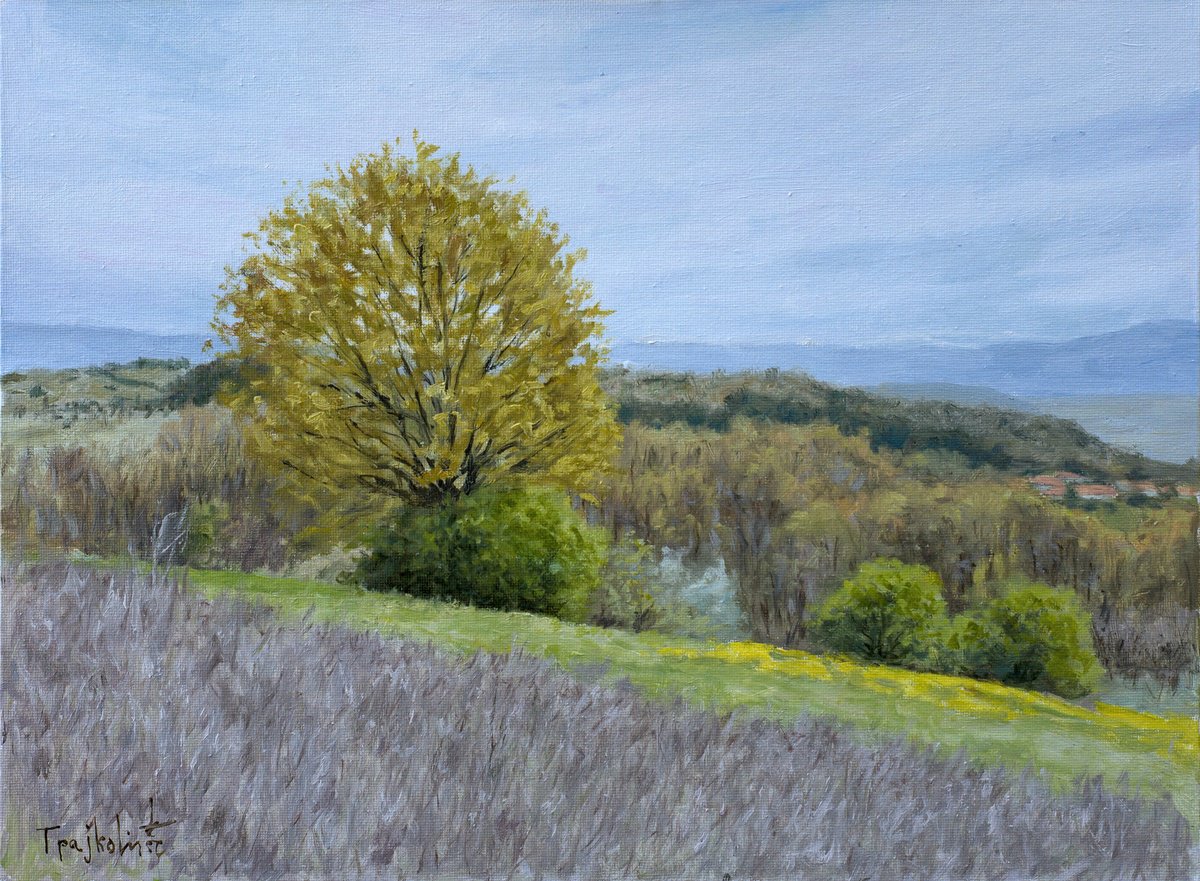 Impressionistic Landscape Oil Painting By Dejan Trajkovic, 16 X 12, Different Angles, Original Artwork