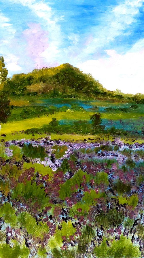 Provence Lavender Field original oil painting by Halyna Kirichenko