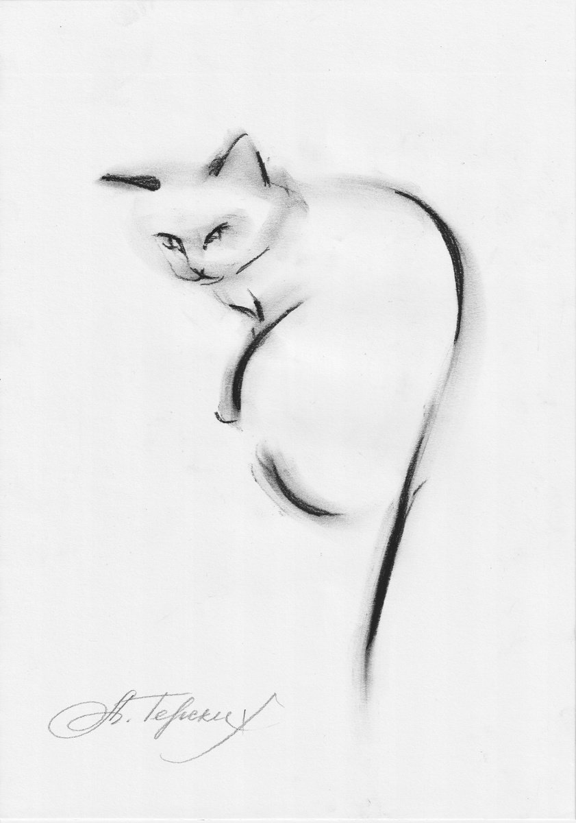 Animal Charcoal Drawing By Anastasia Terskih, 8 X 12, Cat, Original Artwork