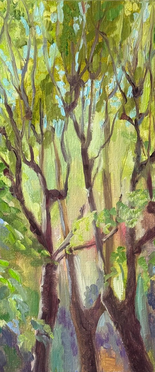 Light Between the Leaves 2 by Masha Voronovskaya