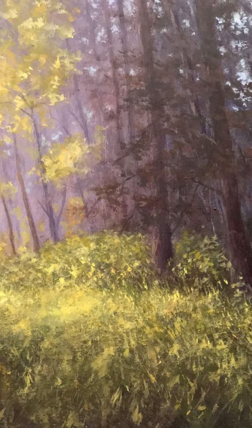 Hidden Forest by Sal Barracca
