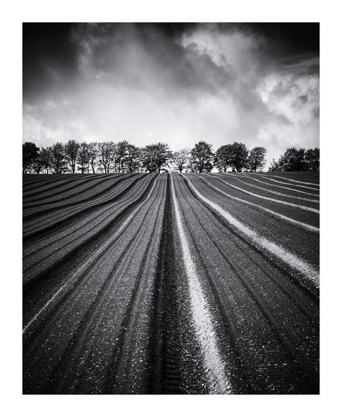 May Field by David Baker