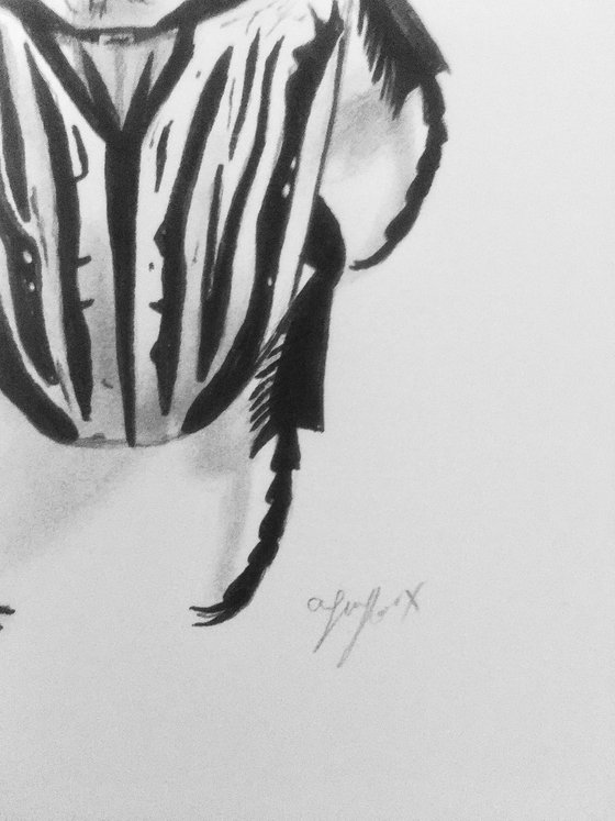 Beetle drawing