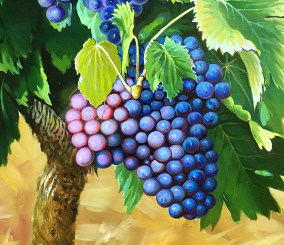 Bunches of grapes