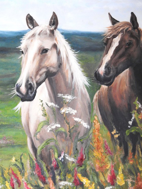 Horses