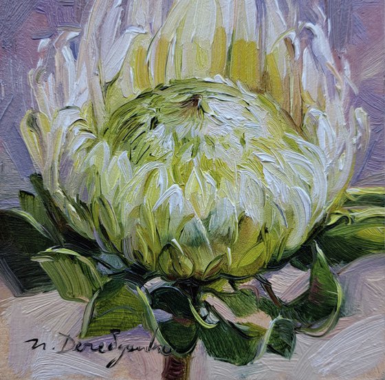 Small painting framed 10x10 white protea flower art original, Unique protea wall art