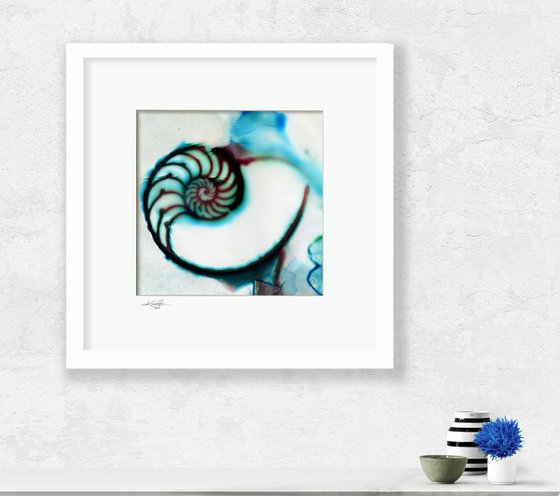 Secrets From The Deep 13 -  Mixed Media Nautilus Shell Painting by Kathy Morton Stanion