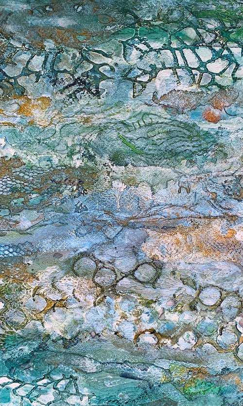 Beneath the Sea Shallows by Suzsi Corio