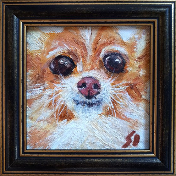 Dog 04.24 / framed / FROM MY A SERIES OF MINI WORKS DOGS/ ORIGINAL PAINTING