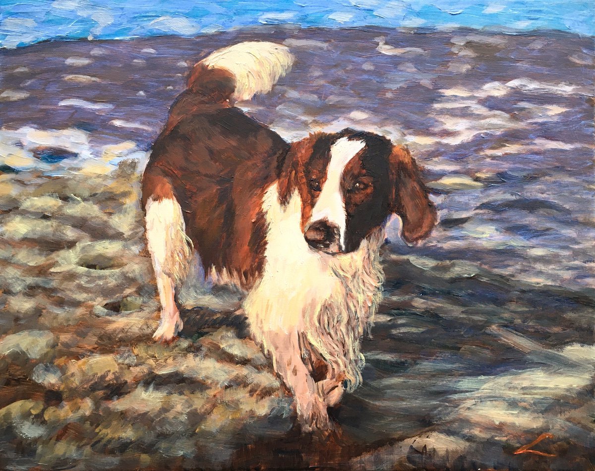 Impressionistic Animal Oil Painting By Elena Sokolova, 20 X 16, Wet Dog 3, Original Artwork