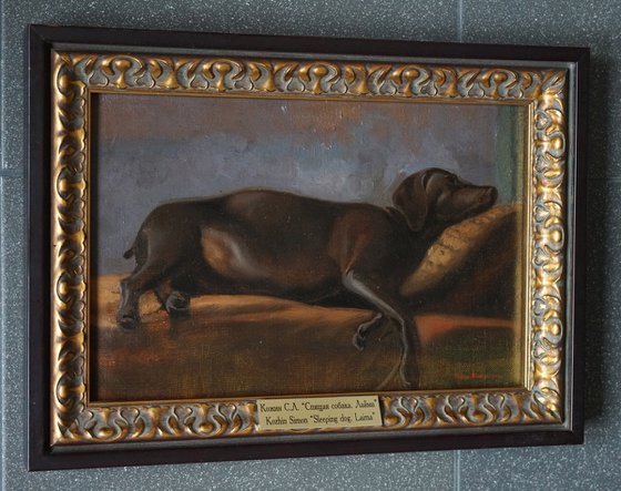 Sleeping dog. Laima