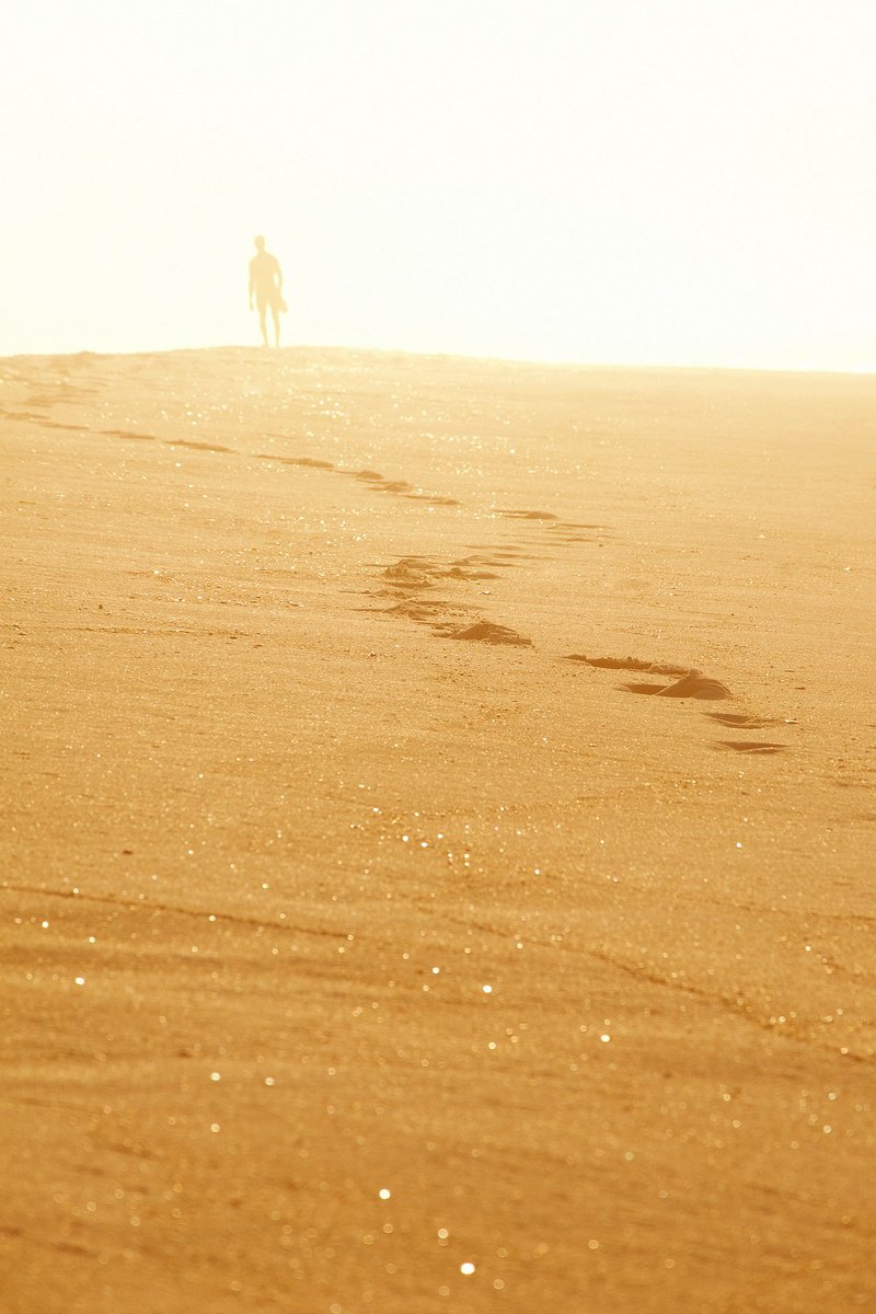 Impressionistic Landscape Photograph By Journey Gong, 17 X 25", Walking On Sunshine, Original Artwork