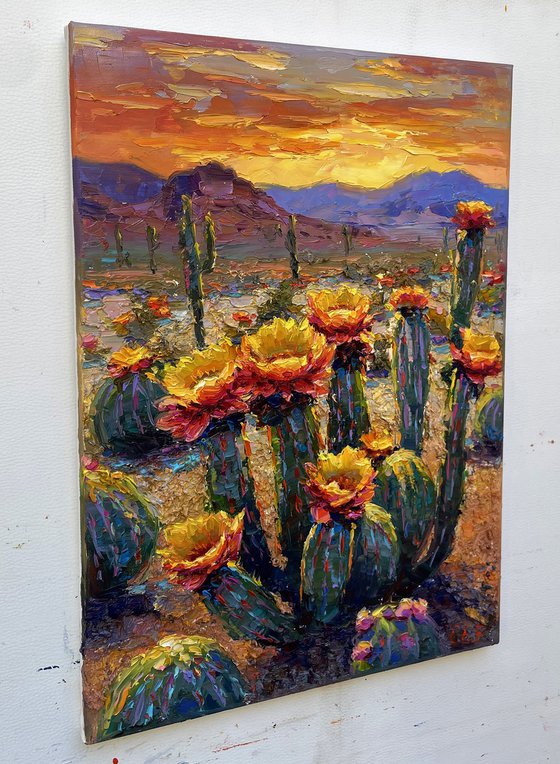 "Flowering Canyon cacti "