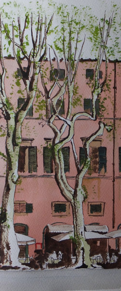 Cafe by the Square, Lucca, Italy by David Harmer