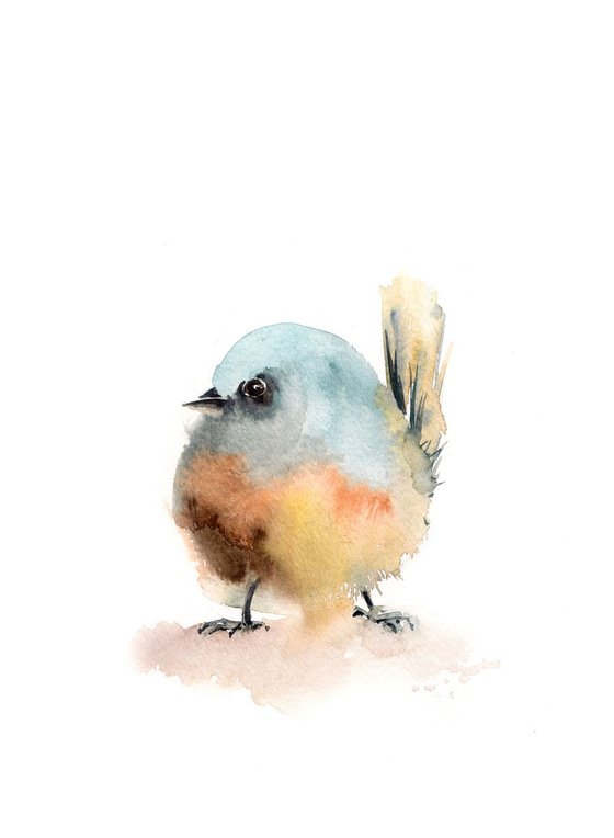 Little Bird