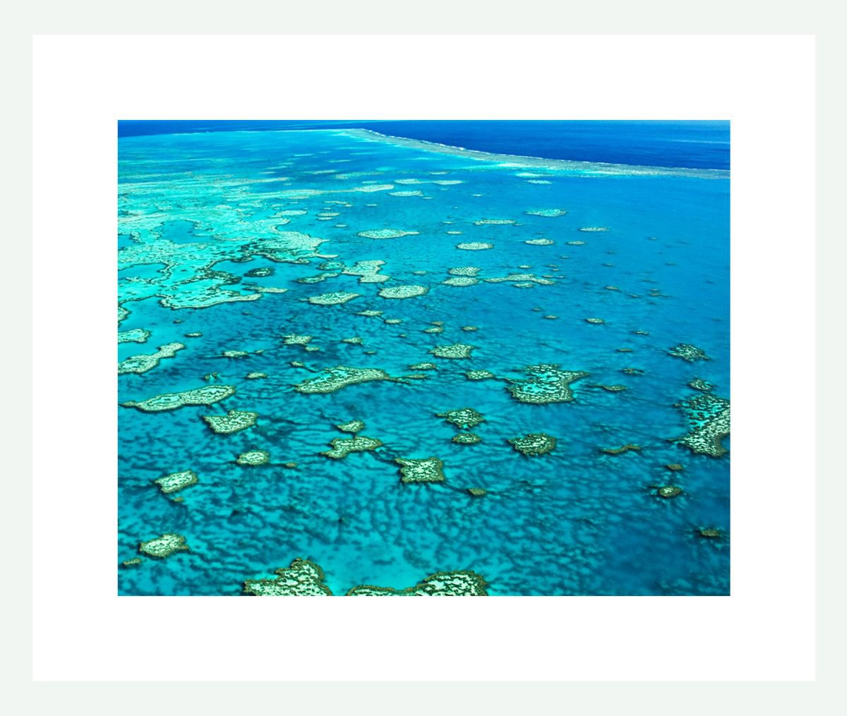 Natural Abstracts - The Great Barrier Reef number 2 by Ken Skehan
