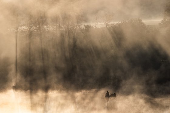 Into The Light