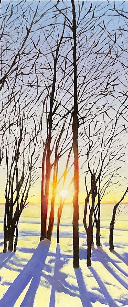 Winter Solstice Sunrise by Alla Kallass