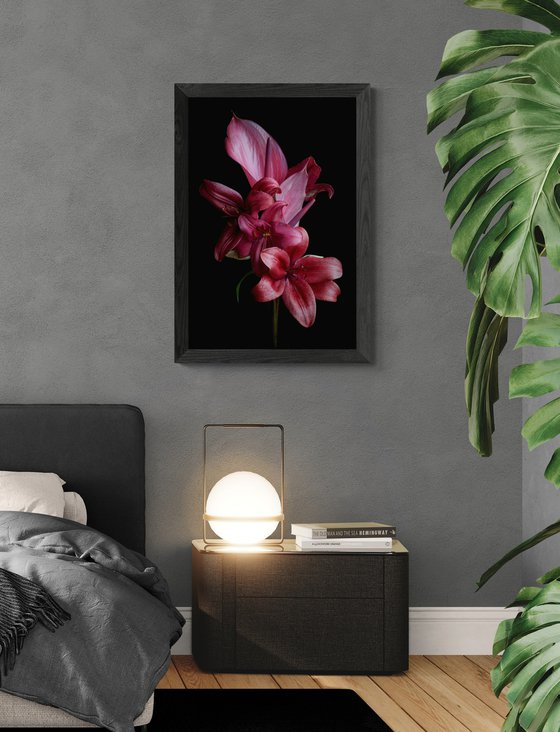 Anthurium and Lilies