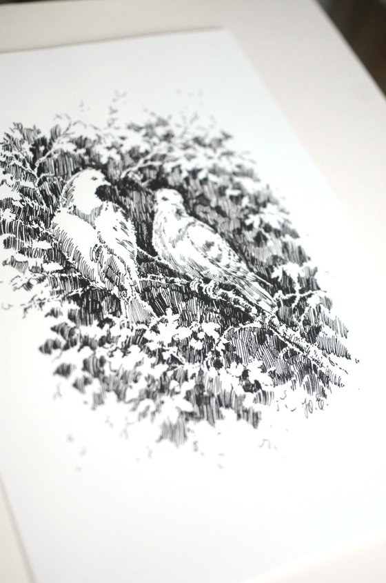 Doves on a Branch