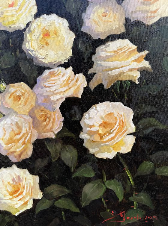 Yellow and Peach Roses