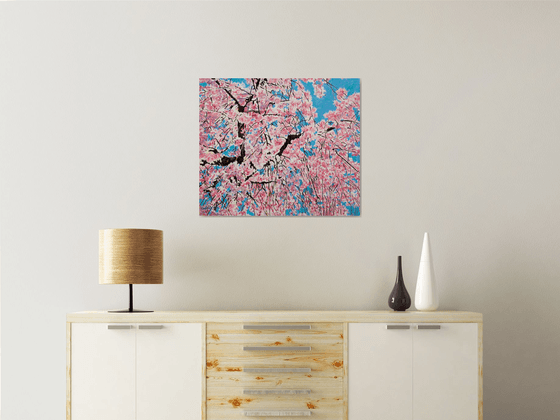 Pink Cherry Blossom