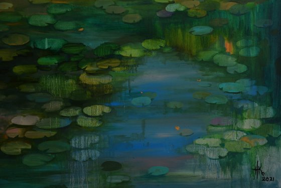 Lily pond. Solstice