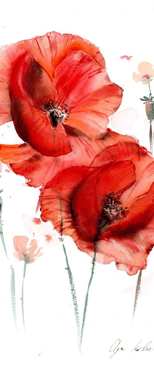 Watercolor abstract poppies by Olga Koelsch