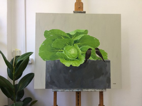 Cabbage