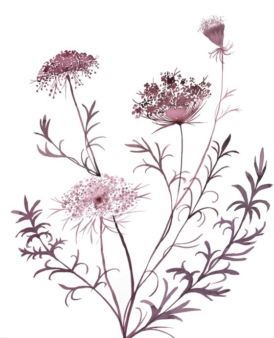 Queen Anne's Lace No. 20