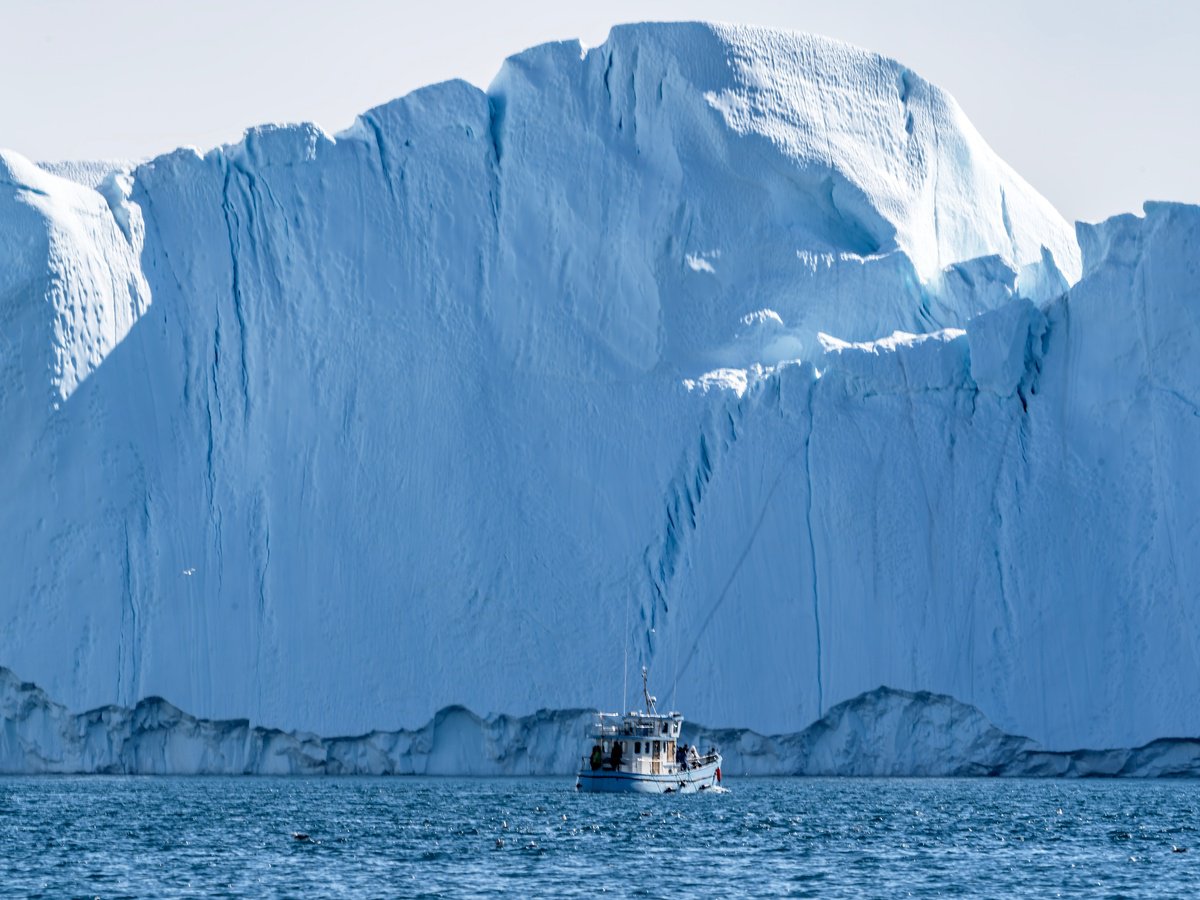 ICE GIANTS by Fabio Accorri?