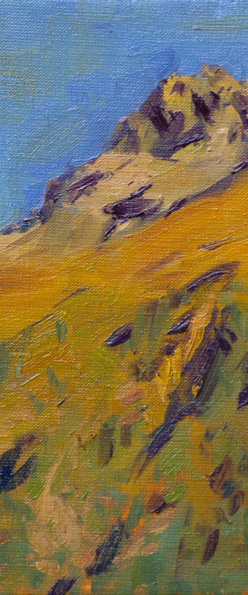 The mountain by Anastasia Borodina