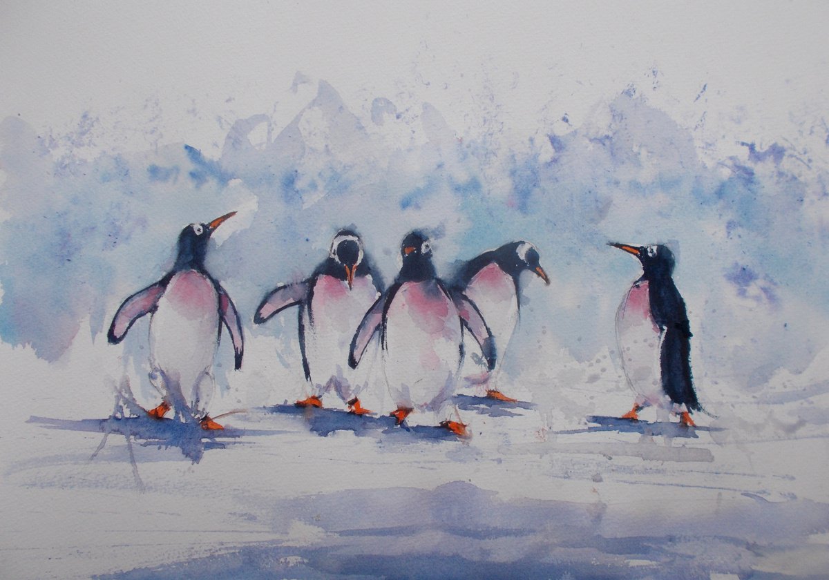 penguins 3 by Giorgio Gosti