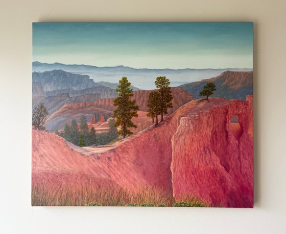 Rose-Tinted Bryce