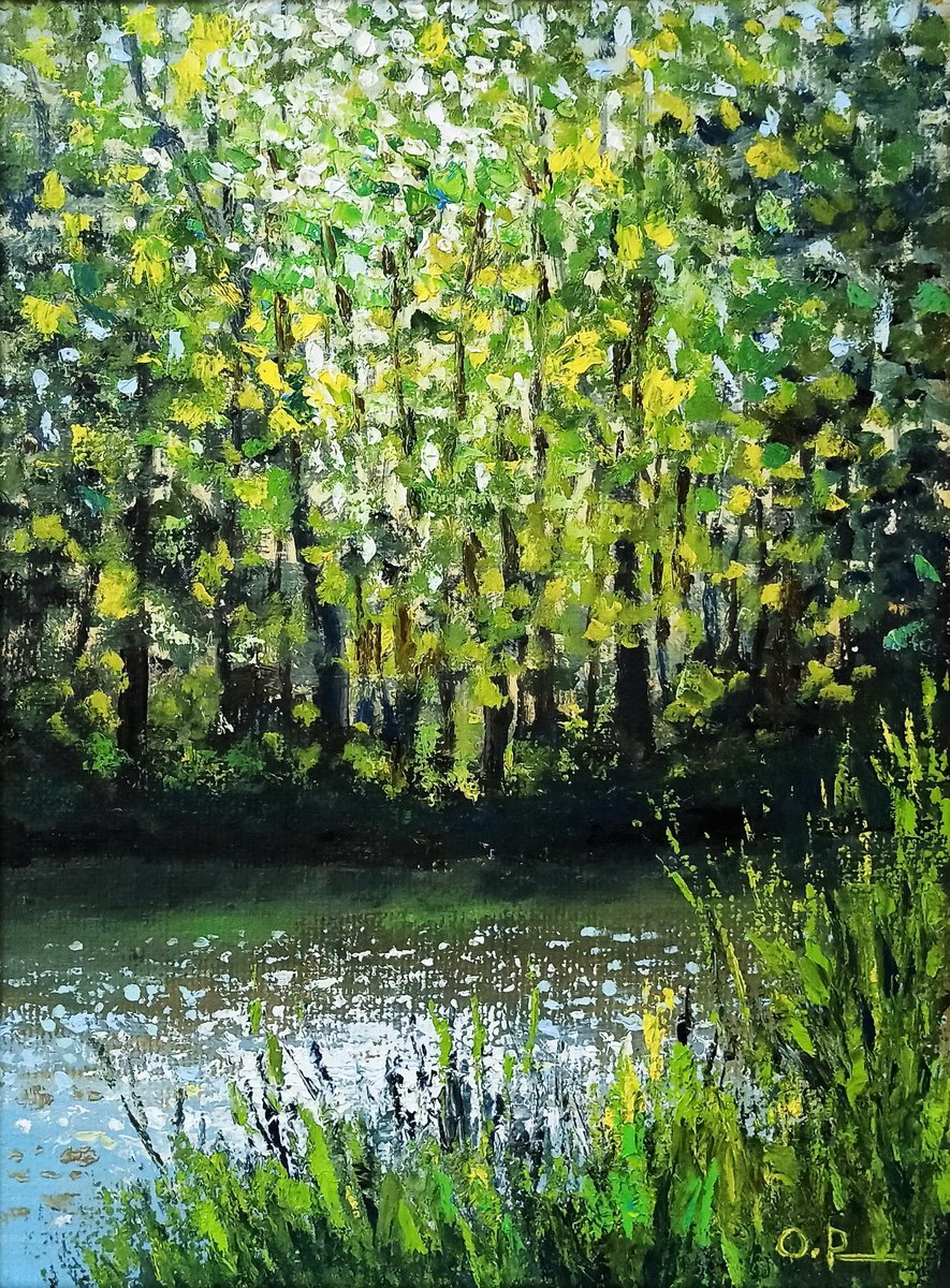 Impressionistic Landscape Oil Painting By Oleh Rak, 12 X 16", River In The Forest, Original Artwork