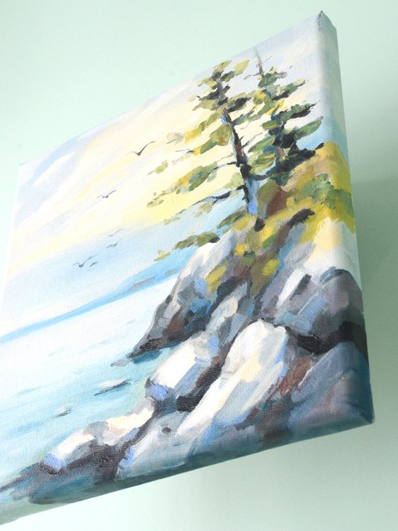 Pine trees on a rocky shore