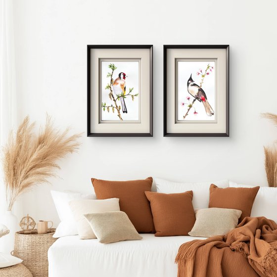 Twin Colorful Noble birds