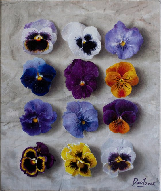 12 pansies 01