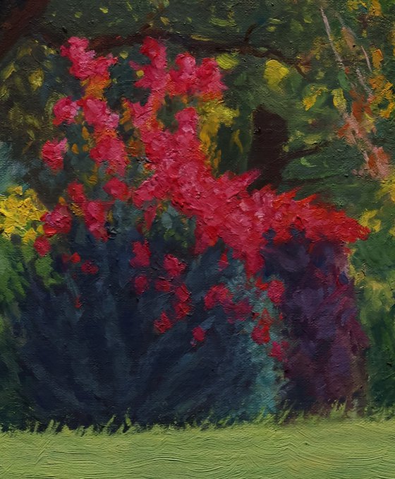 Summer's Last Blush