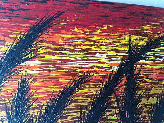 Red Morning