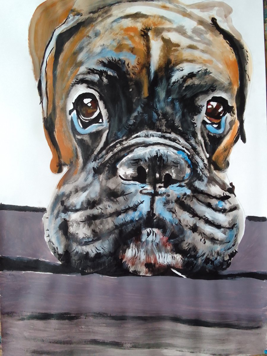 Boxer Dog by Soso Kumsiashvili