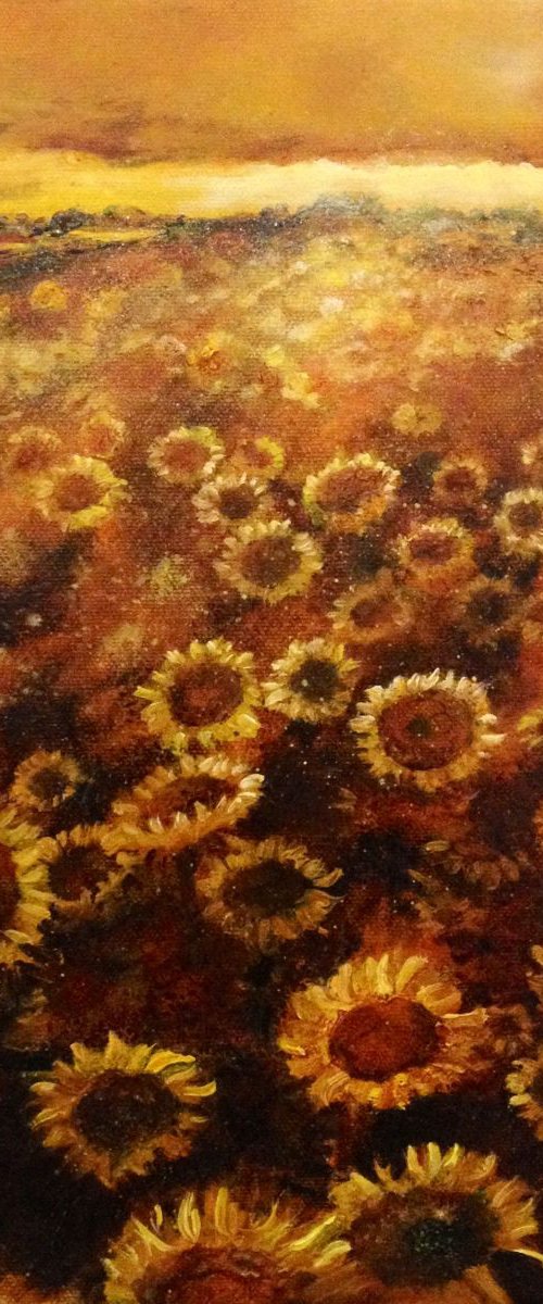 Fields of Gold by Amy Jobes